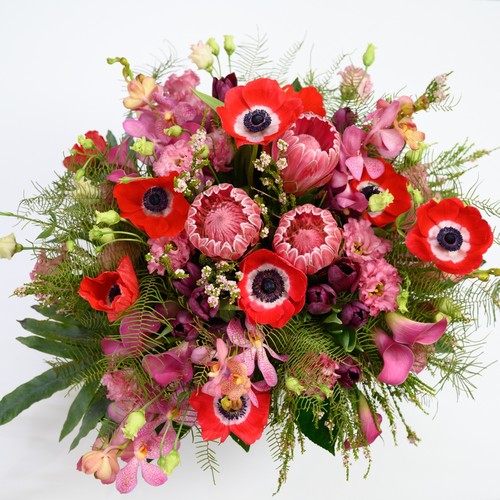 Red anemones pink protea and orchids in a stunning bouquet arranged by Cary luxury florist